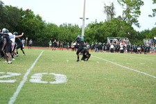Enlarge photo 462