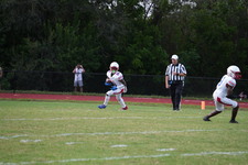 Enlarge photo 469