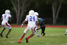 Enlarge photo 494