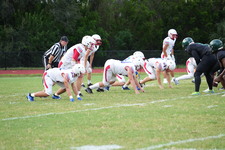 Enlarge photo 532