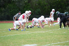 Enlarge photo 533