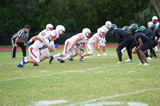 Enlarge photo 535