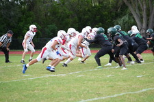 Enlarge photo 539