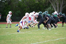 Enlarge photo 538