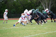 Enlarge photo 540