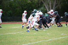Enlarge photo 543