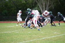 Enlarge photo 542