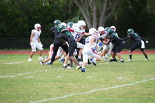 Enlarge photo 544