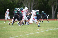 Enlarge photo 545