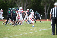 Enlarge photo 546