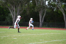 Enlarge photo 566