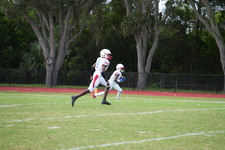 Enlarge photo 568