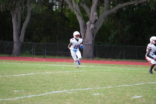 Enlarge photo 571