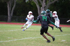 Enlarge photo 585