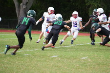Enlarge photo 590