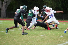 Enlarge photo 593