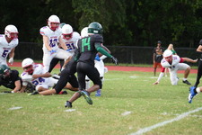 Enlarge photo 595