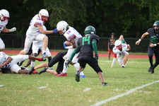 Enlarge photo 598