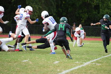 Enlarge photo 599