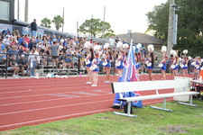 Enlarge photo 715