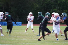 Enlarge photo 751
