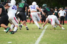 Enlarge photo 805