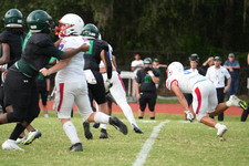 Enlarge photo 809