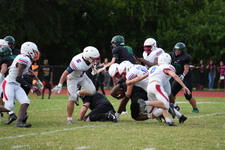 Enlarge photo 858