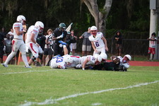 Enlarge photo 905