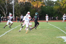 Enlarge photo 918