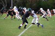 Enlarge photo 946