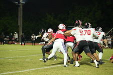 Enlarge photo 107