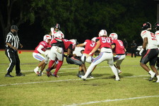 Enlarge photo 114