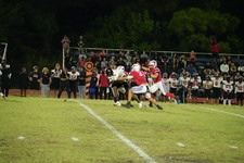 Enlarge photo 126