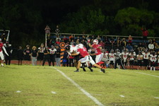 Enlarge photo 127