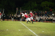 Enlarge photo 128