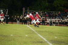 Enlarge photo 129