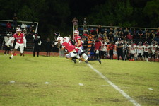 Enlarge photo 131
