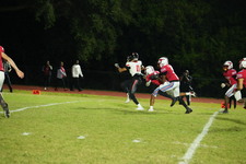Enlarge photo 136