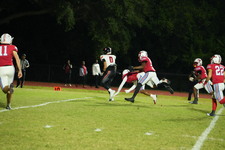 Enlarge photo 138