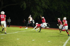 Enlarge photo 139