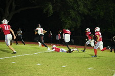 Enlarge photo 141