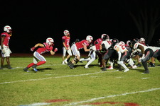Enlarge photo 147