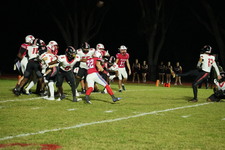 Enlarge photo 153