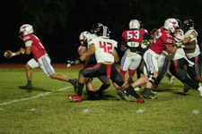 Enlarge photo 236