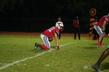 Enlarge photo 244