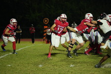 Enlarge photo 248
