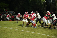 Enlarge photo 293