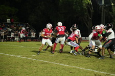 Enlarge photo 295