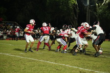 Enlarge photo 297